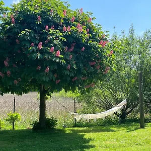 Idylisches Mit Reh Ferienhaus